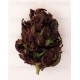 Purple Kush Buddha Seeds autofloreciente