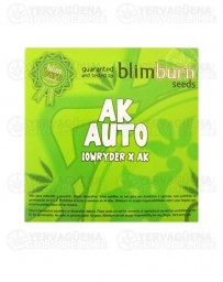 AK Blim Burn autofloreciente