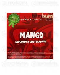 Mango Blim Burn