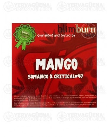 Mango Blim Burn