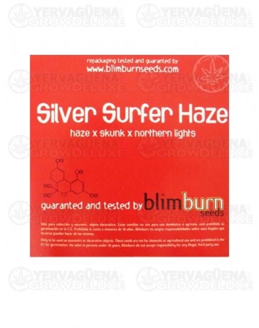 Silver Surfer Haze Blim Burn
