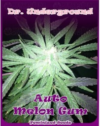 Auto Melon Gum Dr. Underground