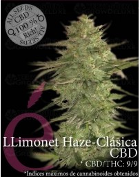 Llimonet Haze Clásica CBD Elite Seeds