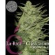 La Rica Clásica CBD Elite Seeds