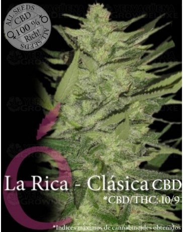 La Rica Clásica CBD Elite Seeds