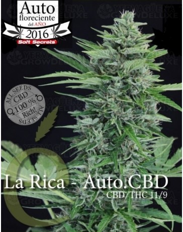 La Rica auto CBD Elite Seeds