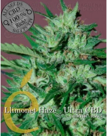 Llimonet Haze Ultra CBD Elite Seeds