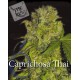 Caprichosa Thai Elite Seeds