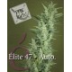 Elite 47 auto Elite Seeds
