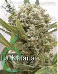 La katana Elite Seeds