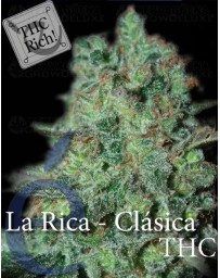La Rica THC Elite Seeds