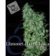 Llimonet Haze THC Elite Seeds