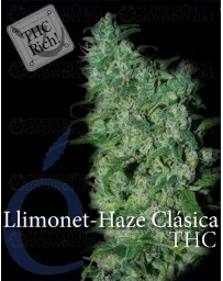 Llimonet Haze THC Elite Seeds