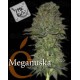 Meganuska Elite Seeds