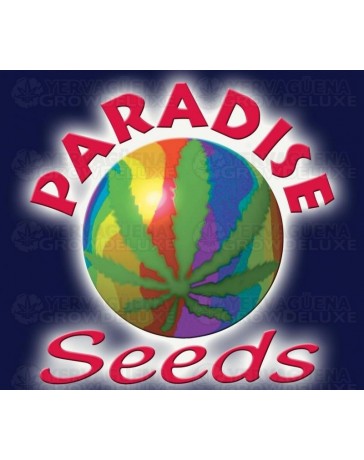 Indica champions Paradise Seeds