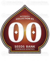 Automatic Collection #1 00 Seeds autofloreciente