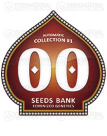 Automatic Collection #1 00 Seeds autofloreciente