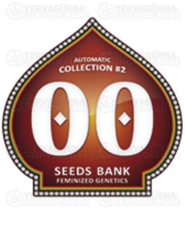 Automatic Collection #2 00 Seeds autofloreciente