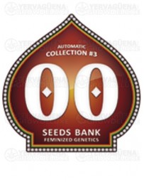 Automatic Collection #3 00 Seeds autofloreciente