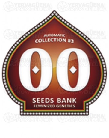 Automatic Collection #3 00 Seeds autofloreciente