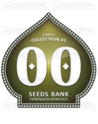 Female Collection #1 00 Seeds