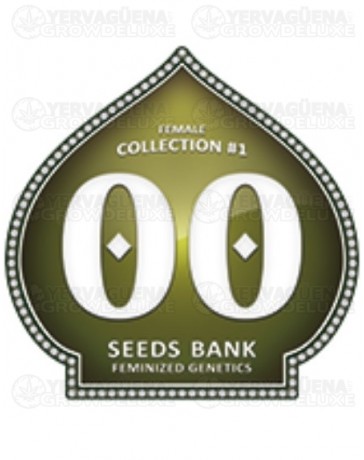 Female Collection #1 00 Seeds