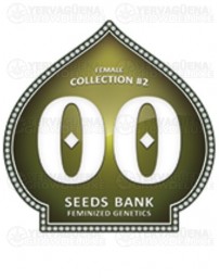 Female Collection #2 00 Seeds