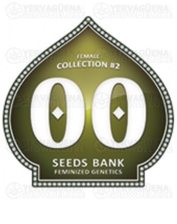 Female Collection #2 00 Seeds