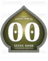 Female Collection #3 00 Seeds