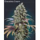 Female Collection #3 00 Seeds
