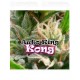 auto-king-kong-dr-underground