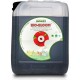 Bio Bloom BioBizz garrafa 5 litros