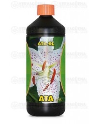 Ata-XL Atami