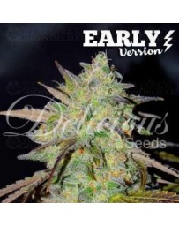 Marmalate Delicious Early Version