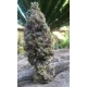 CBD Amnesia CBD Seeds