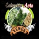 Colección AUTO Venus Genetics