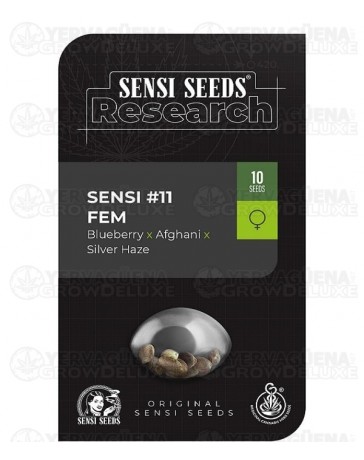 Sensi #11 Sensi Seeds