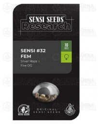 Sensi #32 Feminizada Sensi Seeds