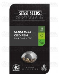 Sensi #743 CBD Sensi Seeds 