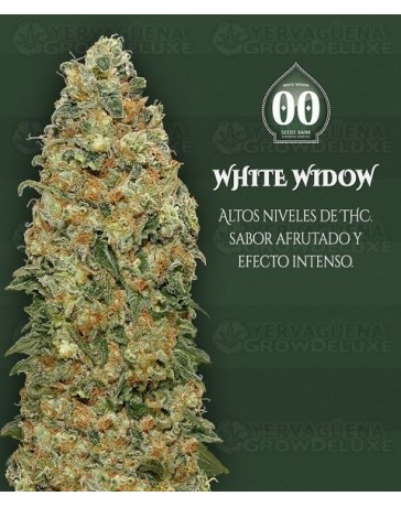 White Widow 00 Seeds