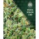 White Widow CBD 00 Seeds