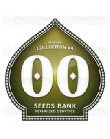 Female Collection #4 00 Seeds