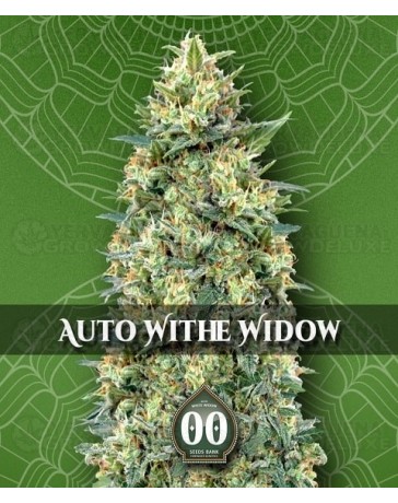 Auto White Widow 00 Seeds Autofloreciente