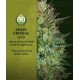 Auto Sweet Critical 00 Seeds Autofloreciente