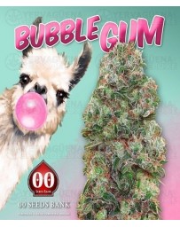 Bubble Gum 00 Seeds