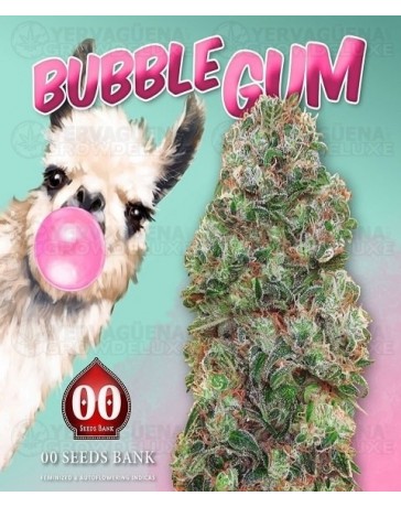 Bubble Gum 00 Seeds