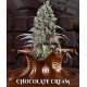 Chocolate Cream 00 Seeds