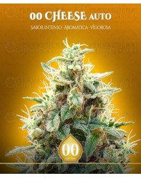 00 Cheese Auto 00 Seeds Autofloreciente