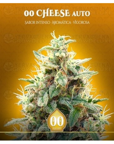 00 Cheese Auto 00 Seeds aAutofloreciente