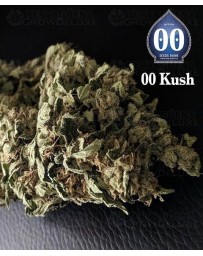 00 Kush 00 Seeds